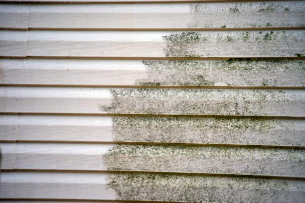 Best Basement Cleanout  in Harrodsburg, KY