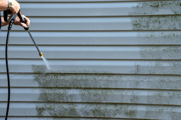 Same-Day Junk Removal Services in Harrodsburg, KY