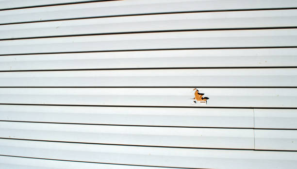 Best Shed Removal  in Harrodsburg, KY